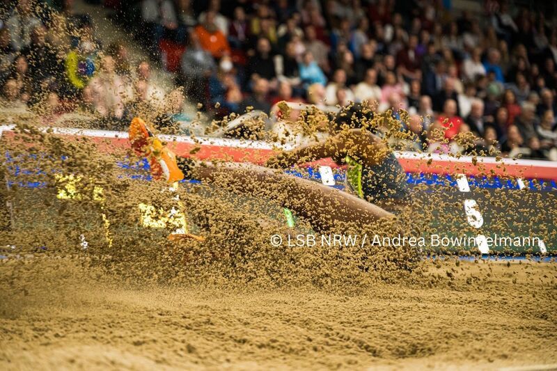 Der Sommertrainingsplan ist online